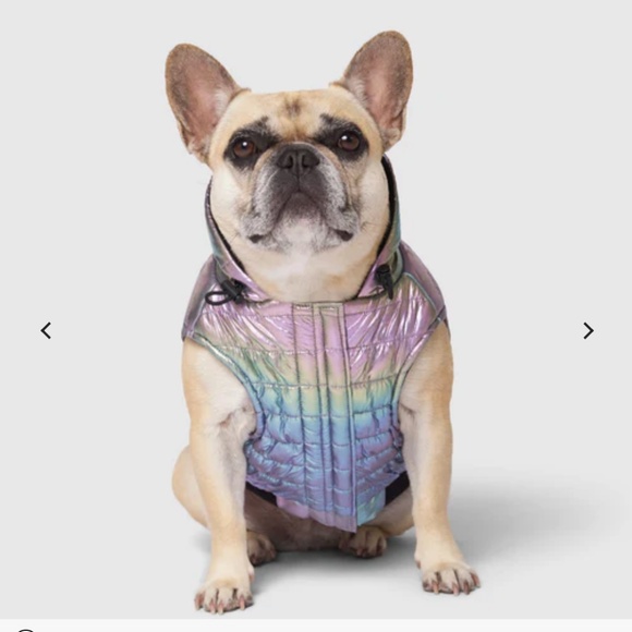 Canada Pooch Iridescent Dog Vest - Picture 2 of 13